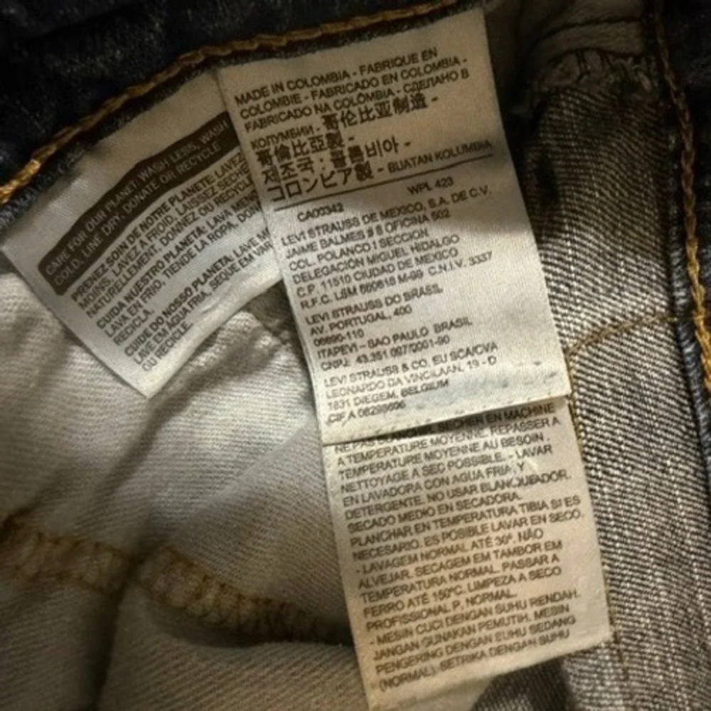Levis levis 569